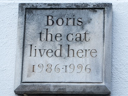 Boris the Cat (id=3600)